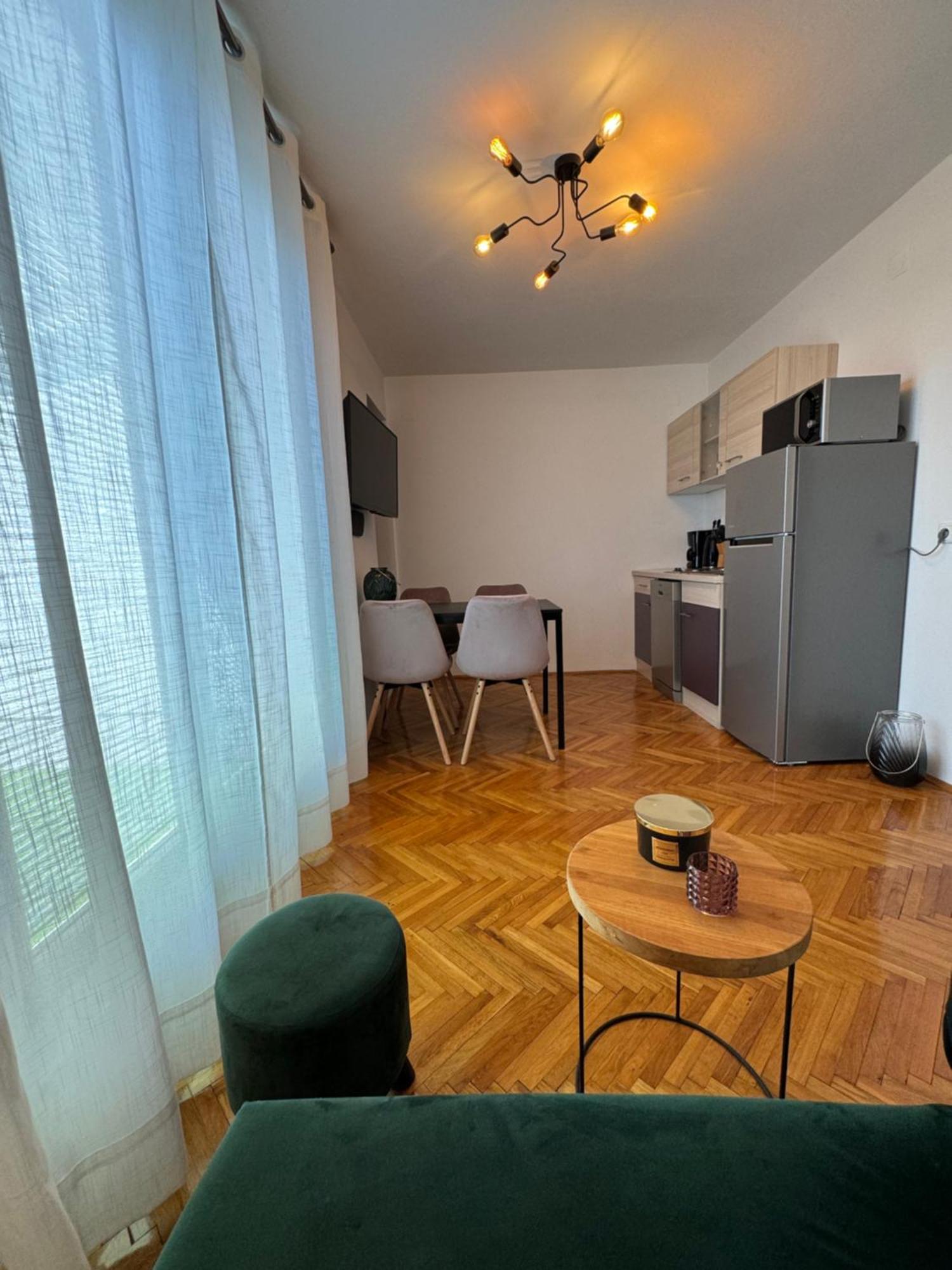Penthouse Apartment 茨里克韦尼察 外观 照片