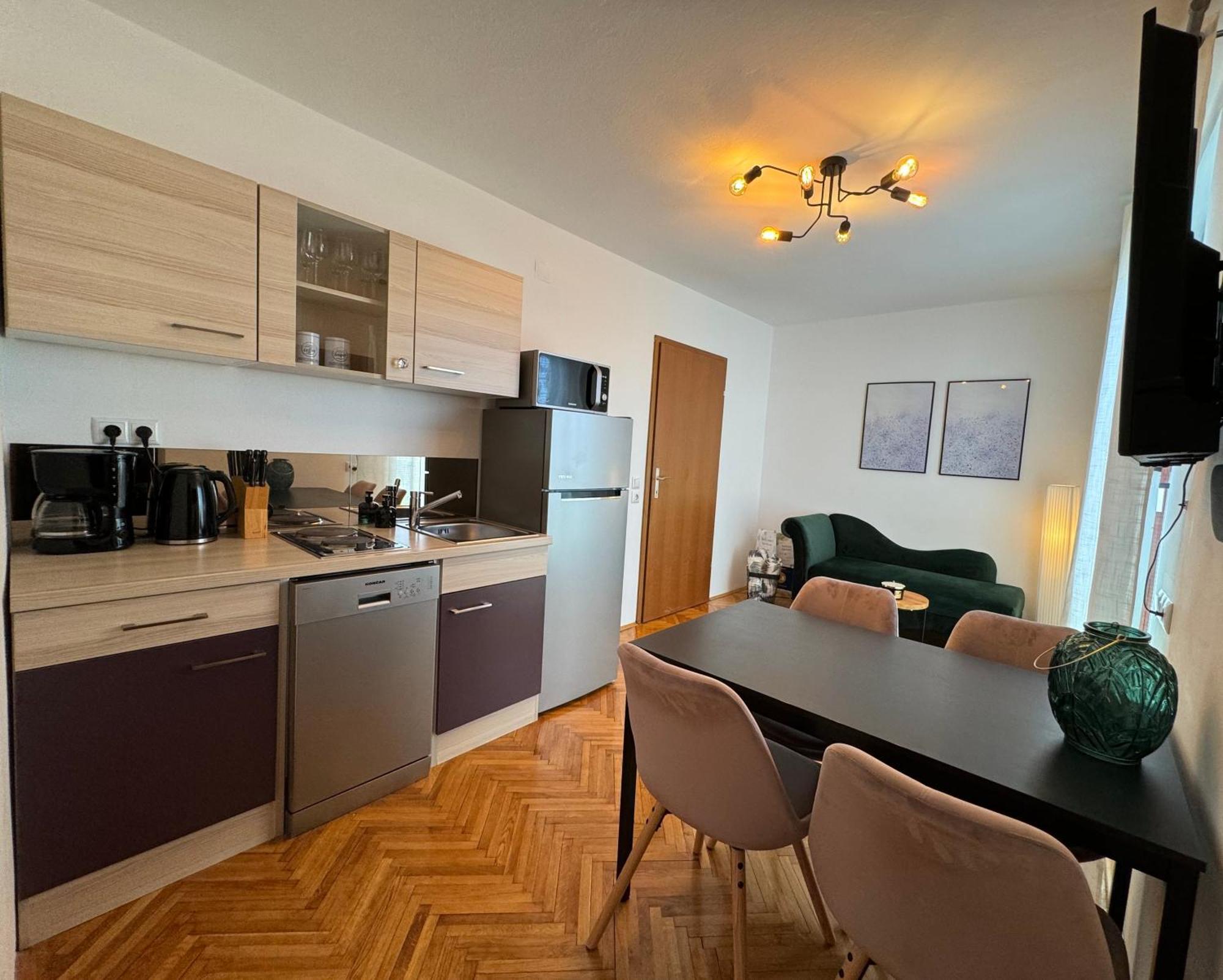 Penthouse Apartment 茨里克韦尼察 外观 照片