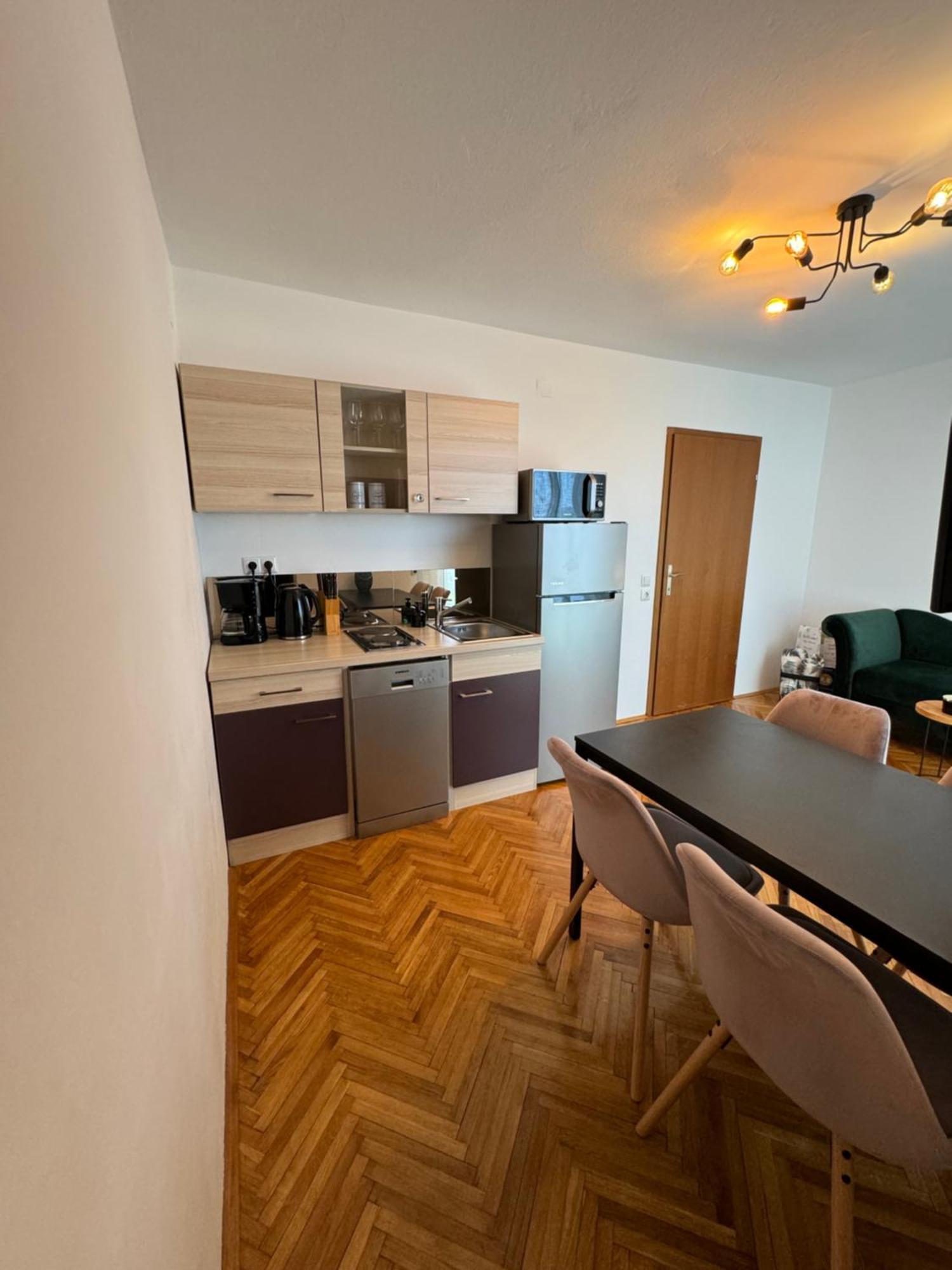 Penthouse Apartment 茨里克韦尼察 外观 照片